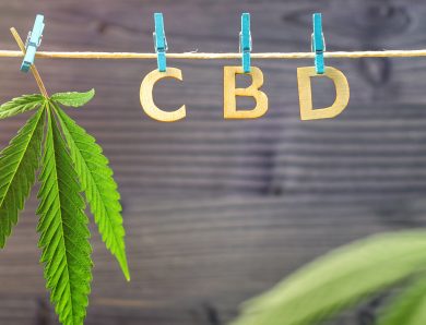 Do You Know How CBD Can Affect Our Endocannabinoid System?