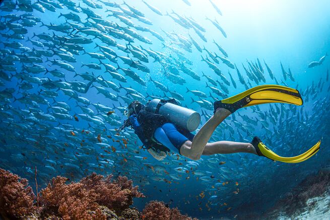 Why Fins Are Must-Have For Diving Enthusiasts In Australia?