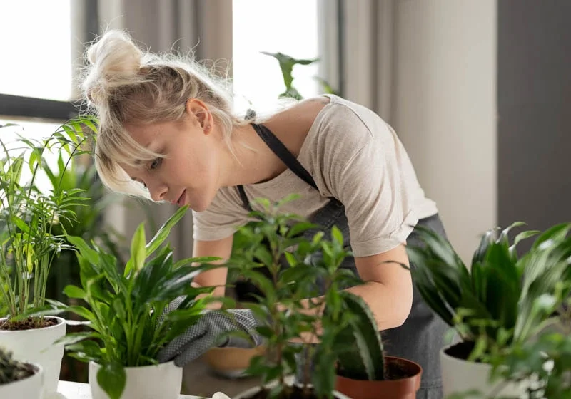 Sow Your Brand: The Impact Of Branded Plant Containers On Customer Engagement